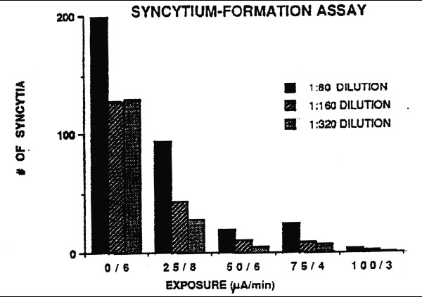 Results of a representative syncytium-formation assay